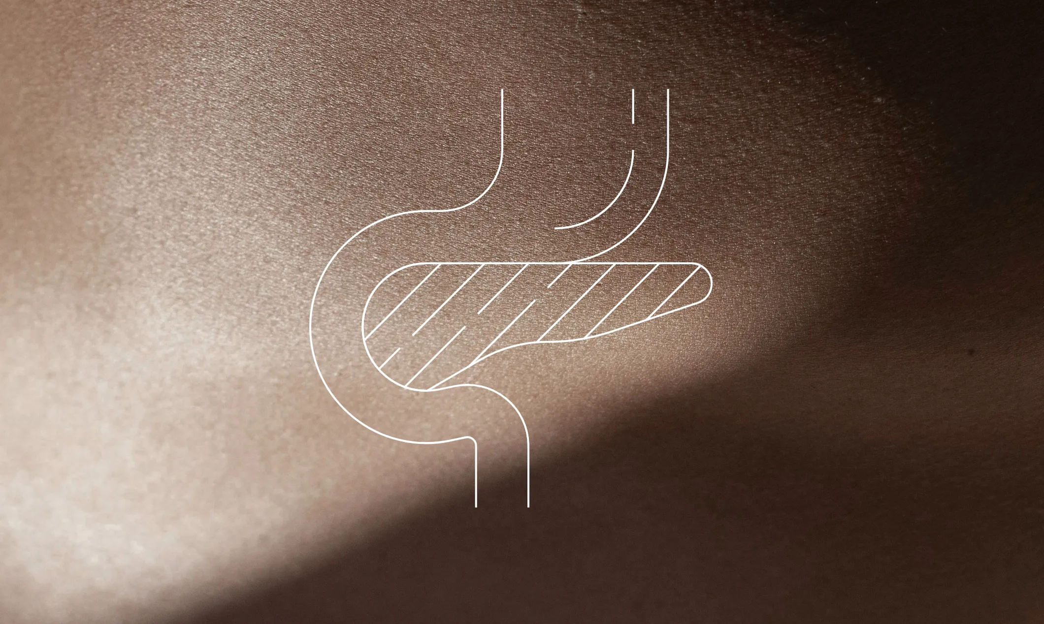 13_HAL-Pankreaskarzinom